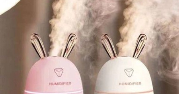 Humidifier For Rabbits Mini Humidifier Rabbit 300ml Pink