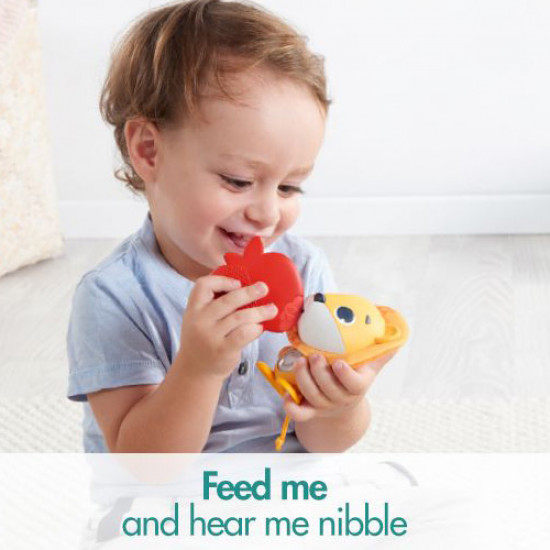 Tiny Love Wonder Buddies Leonardo the Lion